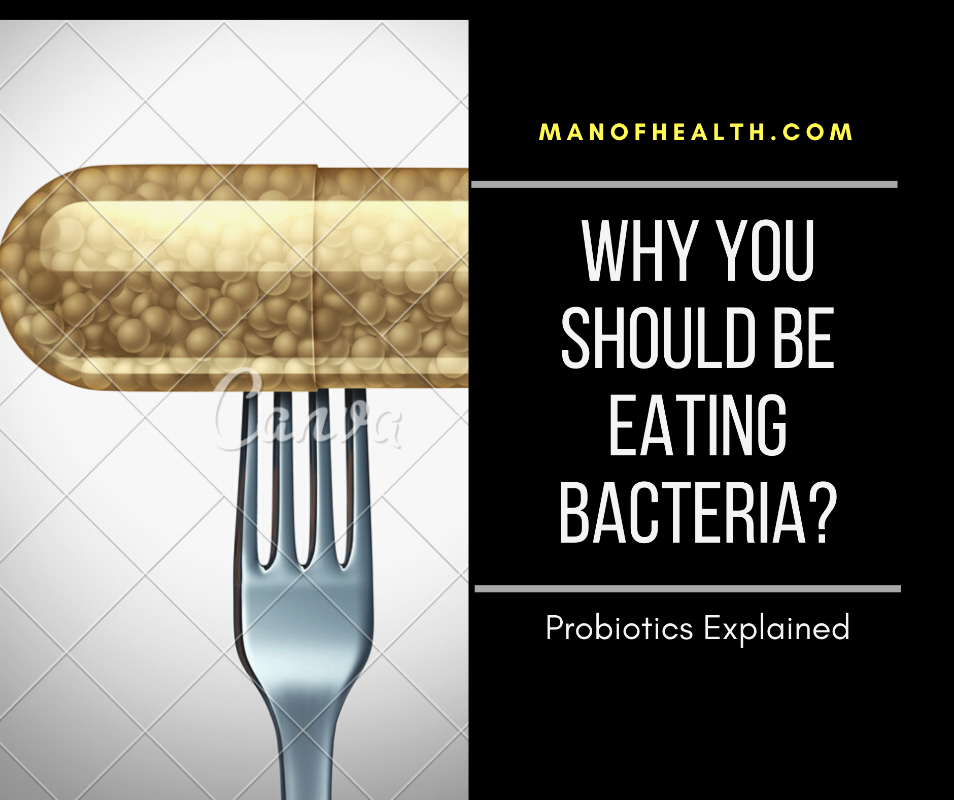 You are currently viewing Why every man should be eating  Bacteria… Probiotics