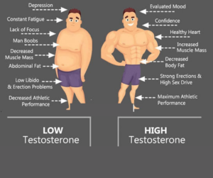 Read more about the article Testosterone Optimization: What you need to Know!