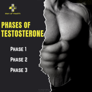 Read more about the article Testosterone Therapy: The Phases of Improvement